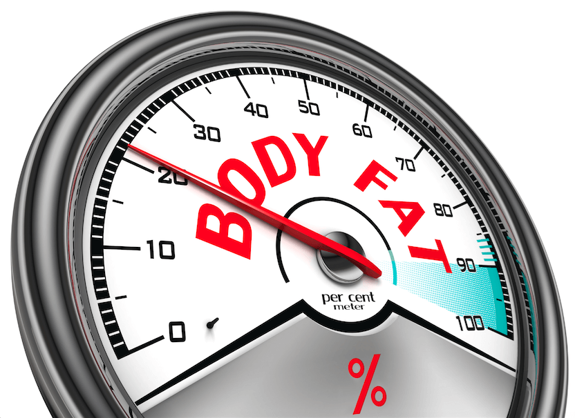 What you Need to Know about Body Fat Percentage