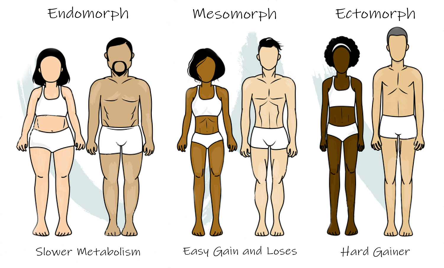 Busting Common Myths about the Mesomorph Body Type